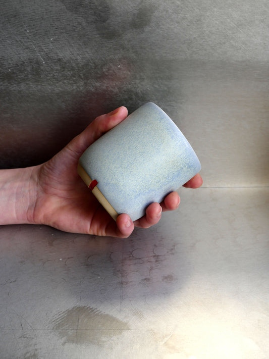 Ochtendnevel L